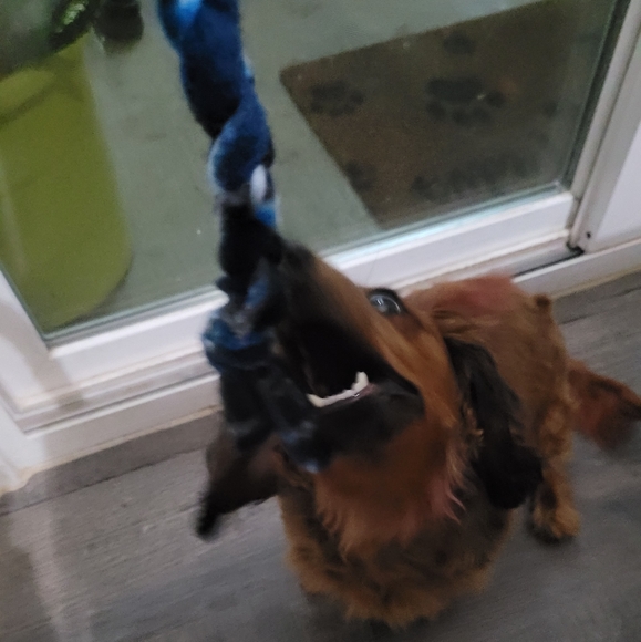 NBA Dallas Mavericks rope dog toy - Picture 7 of 8